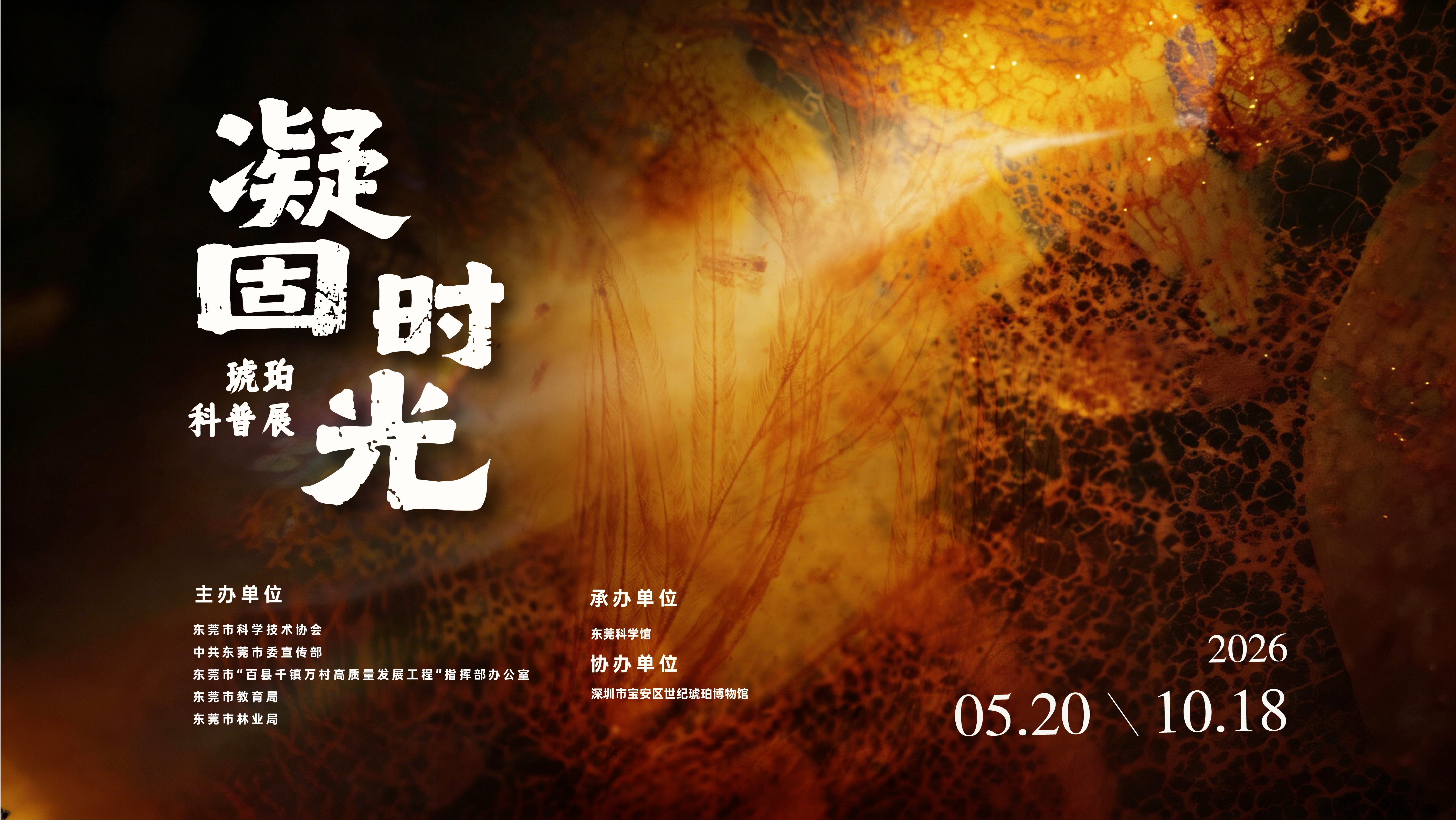 凝固时光——琥珀科普展