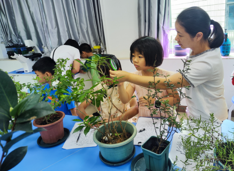 植物叶性状分类探究