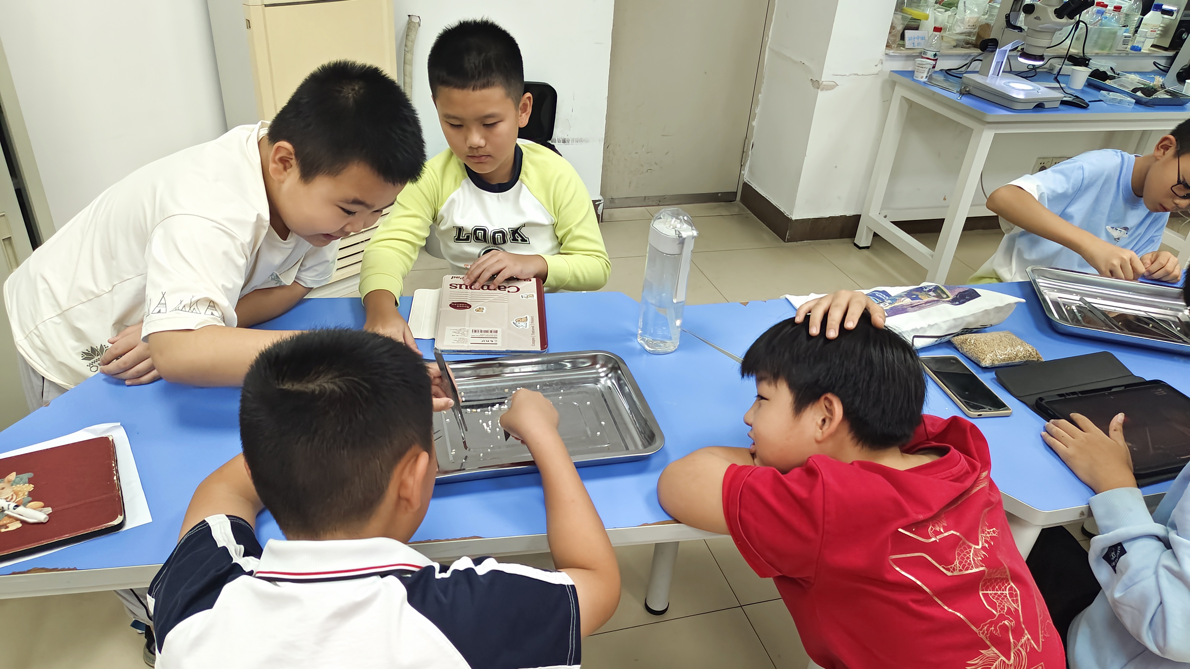 研学工作坊——探秘果实与种子